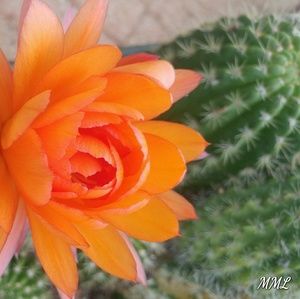 Have a great day! Look at my great deals!